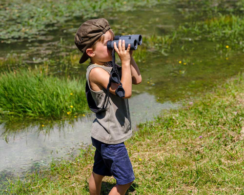 media.Gallery-C-Bici-2-CFH