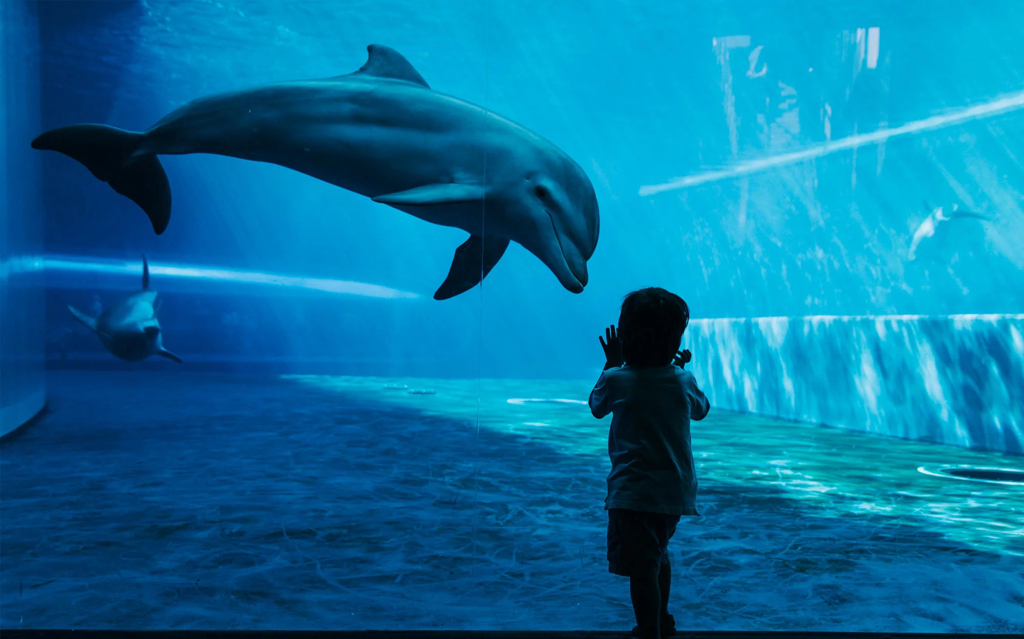 media.Slide-Oltremare-CFH-Riccione