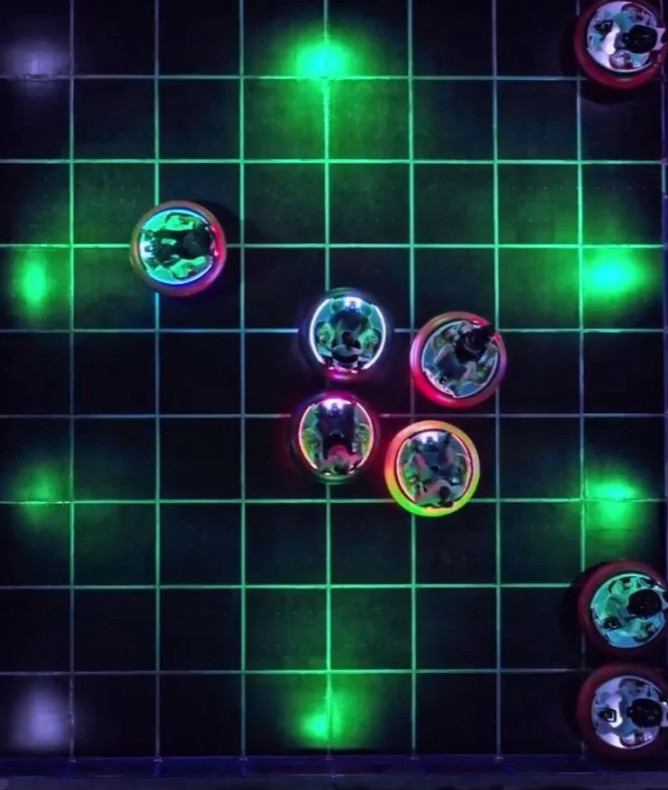 media.bumper-cars-autoscontro-club-family-hotel-riccione-4