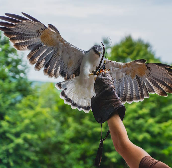 media.Club_Family_Hotel_parchi_divertimento_gratis_Oltremare_684x670_serv