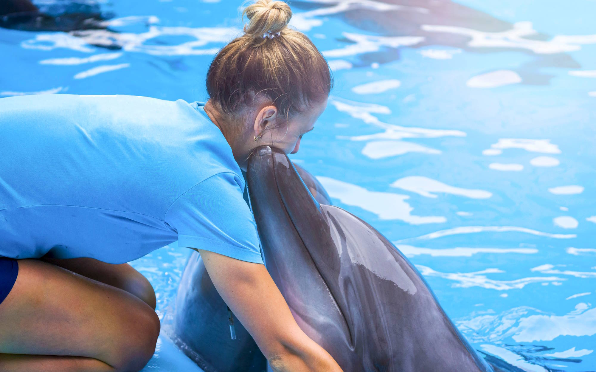 media.Club_Family_Hotel_sei_parchi_divertimento_gratis_inclusi_nella_vacanza_oltremare_riccione